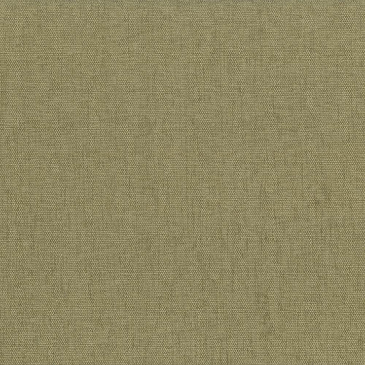 Pinnacle Parsley by Kasmir Fabric 5046 100% Polyester
 INDIA </p><p>Repeat: Horizontal: N/A and Vertical: N/A 54 - 55 - Fabric Carolina -