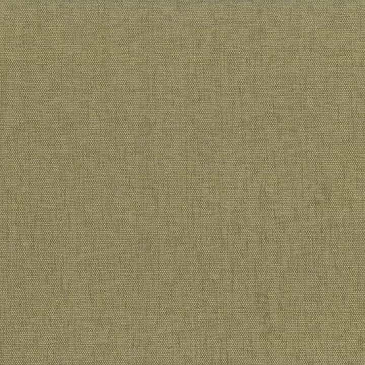 Pinnacle Parsley by Kasmir Fabric 5046 INDIA 102,000 Wyzenbeek Double Rubs H: N/A, V:N/A 54 - 55 - Fabric Carolina - Kasmir