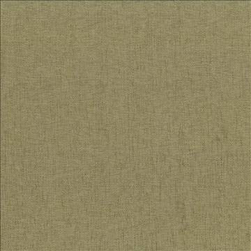 Pinnacle Parsley by Kasmir Fabric 5046 100% Polyester INDIA 102,000 Wyzenbeek Double Rubs H: N/A, V: N/A 54 - 55 - Fabric Carolina - Kasmir