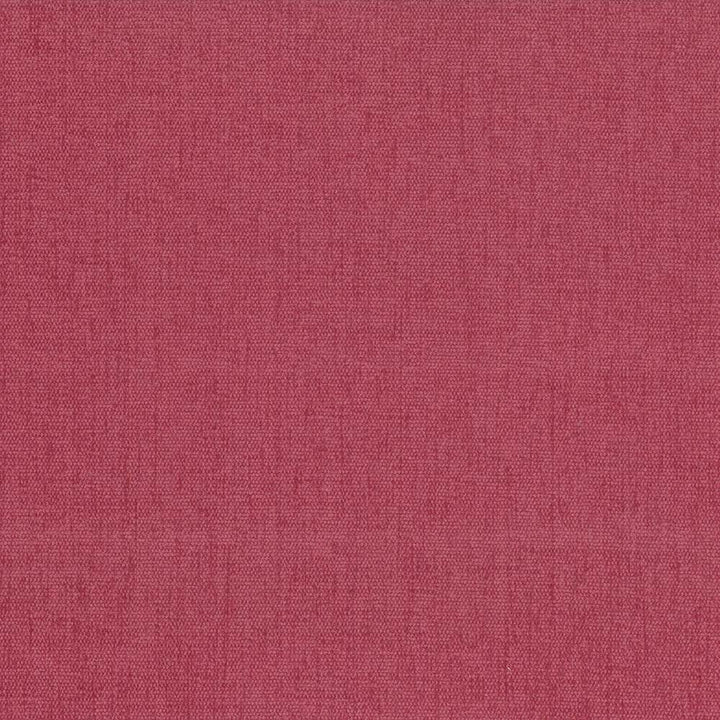 Pinnacle Rose by Kasmir Fabric 5046 100% Polyester
 INDIA </p><p>Repeat: Horizontal: N/A and Vertical: N/A 54 - 55 - Fabric Carolina -
