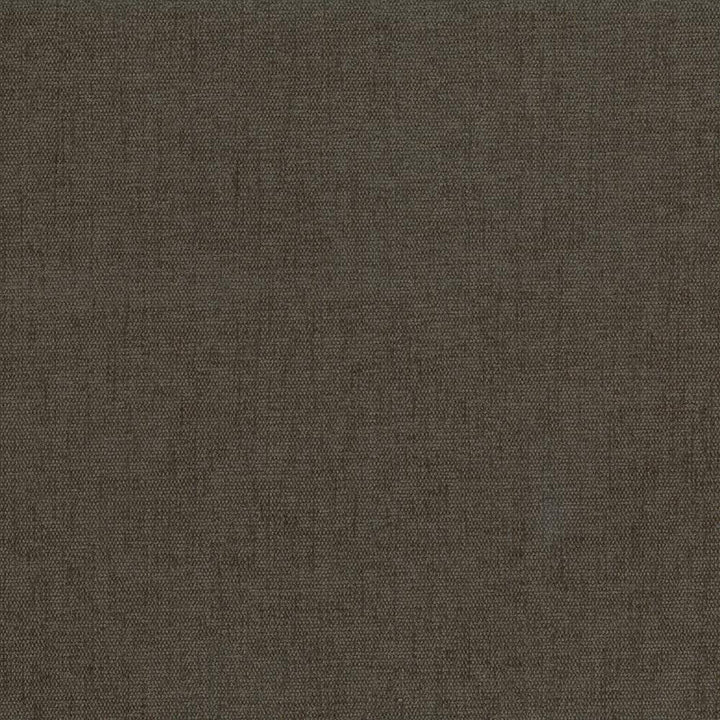 Pinnacle Saddle by Kasmir Fabric 5046 INDIA 102,000 Wyzenbeek Double Rubs H: N/A, V:N/A 54 - 55 - Fabric Carolina - Kasmir