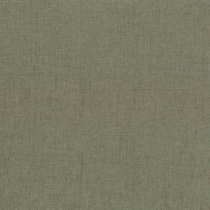 Pinnacle Sage by Kasmir Fabric 1353 100% Polyester
 INDIA </p><p>Repeat: Horizontal: N/A and Vertical: N/A 54 - 55 - Fabric Carolina -