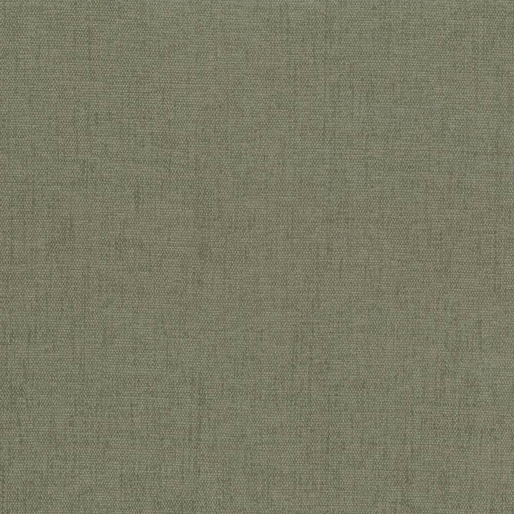 Pinnacle Sage by Kasmir Fabric 5046 100% Polyester
 INDIA </p><p>Repeat: Horizontal: N/A and Vertical: N/A 54 - 55 - Fabric Carolina -