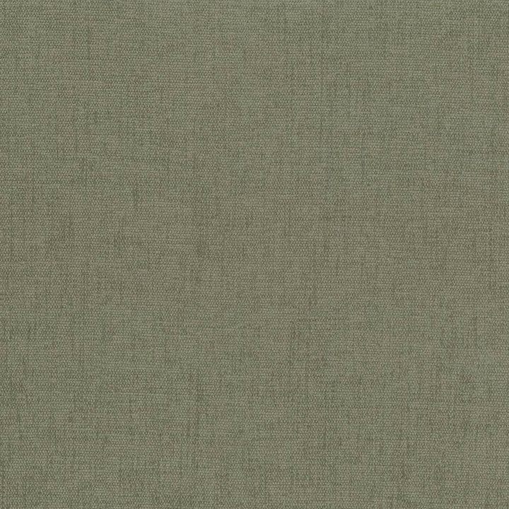 Pinnacle Sage by Kasmir Fabric 1353 INDIA 102,000 Wyzenbeek Double Rubs H: N/A, V:N/A 54 - 55 - Fabric Carolina - Kasmir