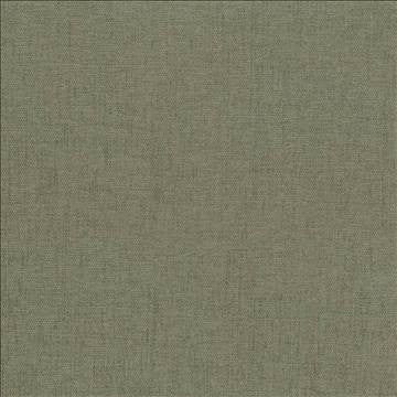 Pinnacle Sage by Kasmir Fabric 5046 100% Polyester INDIA 102,000 Wyzenbeek Double Rubs H: N/A, V: N/A 54 - 55 - Fabric Carolina - Kasmir