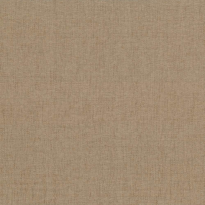 Pinnacle Sand by Kasmir Fabric 1353 100% Polyester
 INDIA </p><p>Repeat: Horizontal: N/A and Vertical: N/A 54 - 55 - Fabric Carolina -