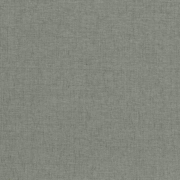 Pinnacle Silver Sage by Kasmir Fabric 1353 INDIA 102,000 Wyzenbeek Double Rubs H: N/A, V:N/A 54 - 55 - Fabric Carolina - Kasmir