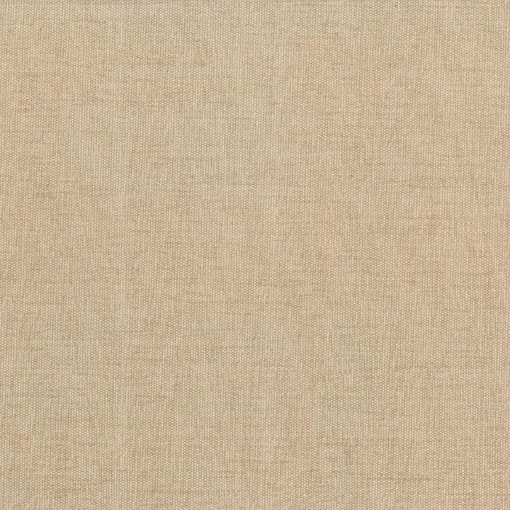 Pinnacle Tan by Kasmir Fabric 5046 100% Polyester
 INDIA </p><p>Repeat: Horizontal: N/A and Vertical: N/A 54 - 55 - Fabric Carolina -