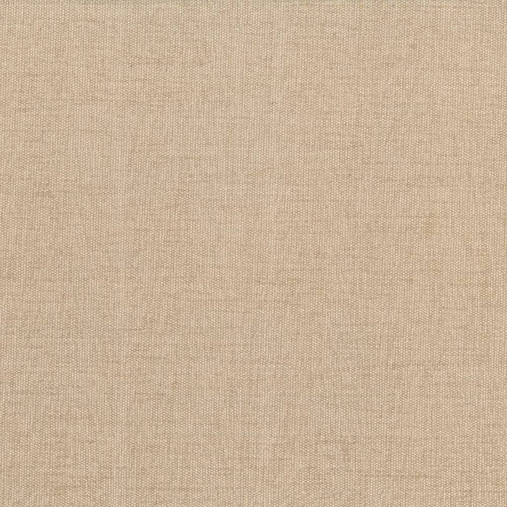 Pinnacle Tan by Kasmir Fabric 1353 INDIA 102,000 Wyzenbeek Double Rubs H: N/A, V:N/A 54 - 55 - Fabric Carolina - Kasmir