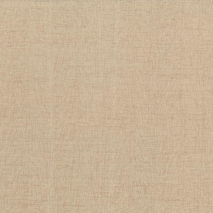 Pinnacle Tan by Kasmir Fabric 5046 100% Polyester
 INDIA 102,000 Wyzenbeek Double Rubs </p><p>Repeat: Horizontal: N/A and Vertical: N/A 54 - Fabric Carolina -