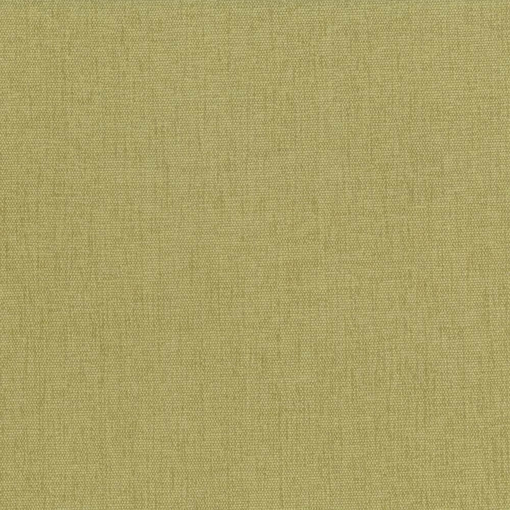 Pinnacle Thyme by Kasmir Fabric 5046 100% Polyester
 INDIA 102,000 Wyzenbeek Double Rubs Horizontal: N/A and Vertical: N/A 54 - Fabric Carolina -