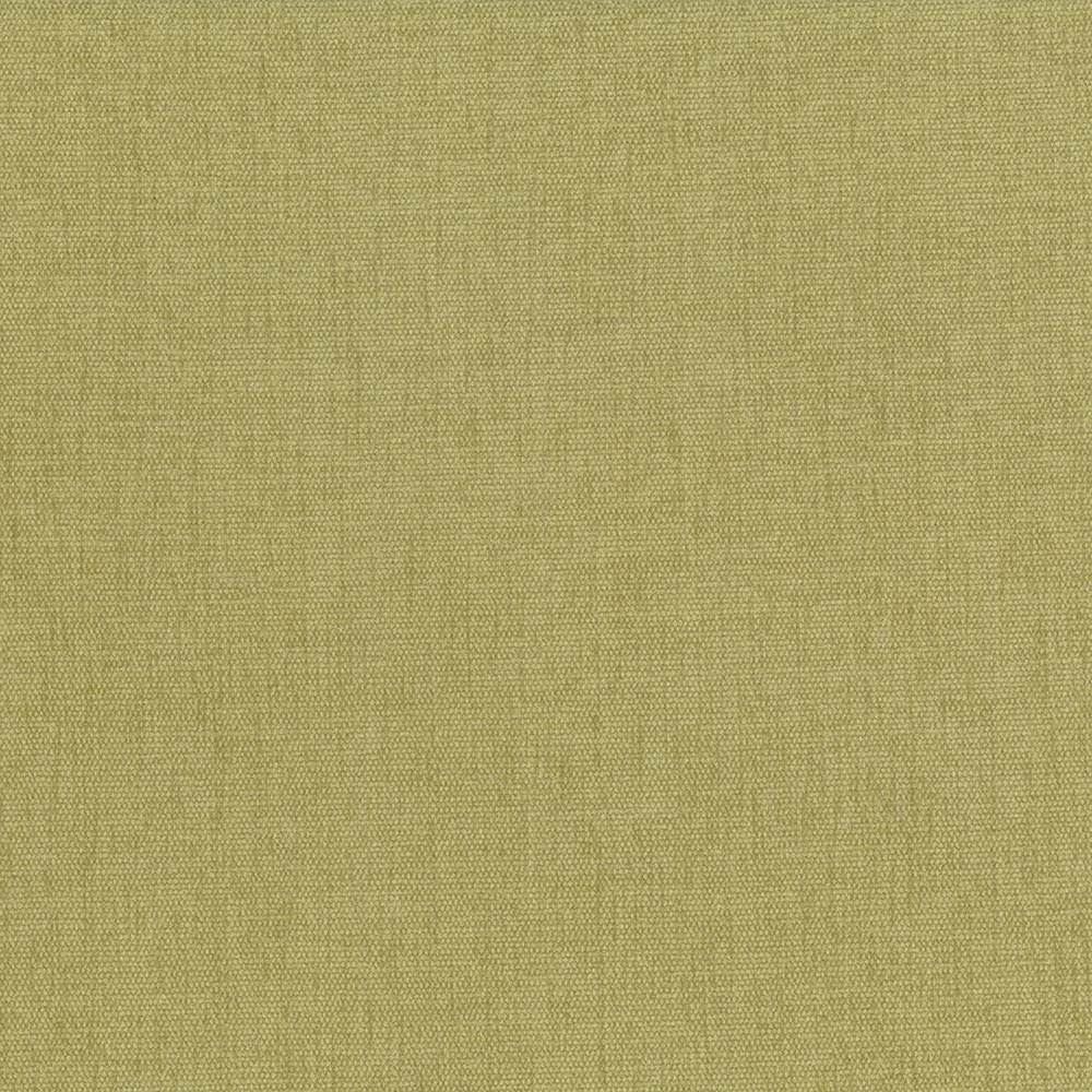 Pinnacle Thyme by Kasmir Fabric 5046 100% Polyester
 INDIA 102,000 Wyzenbeek Double Rubs </p><p>Repeat: Horizontal: N/A and Vertical: N/A 54 - Fabric Carolina -