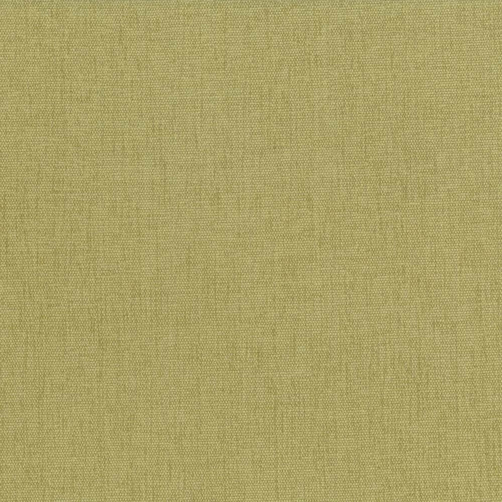 Pinnacle Thyme by Kasmir Fabric 5046 100% Polyester
 INDIA </p><p>Repeat: Horizontal: N/A and Vertical: N/A 54 - 55 - Fabric Carolina -