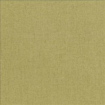 Pinnacle Thyme by Kasmir Fabric 5046 100% Polyester INDIA 102,000 Wyzenbeek Double Rubs H: N/A, V: N/A 54 - 55 - Fabric Carolina - Kasmir