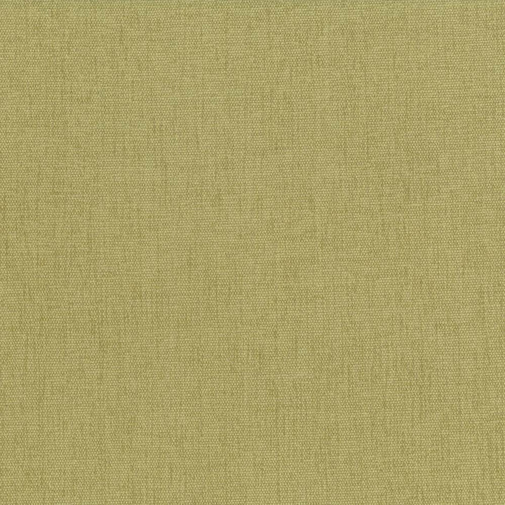 Pinnacle Thyme by Kasmir Fabric 5046 INDIA 102,000 Wyzenbeek Double Rubs H: N/A, V:N/A 54 - 55 - Fabric Carolina - Kasmir
