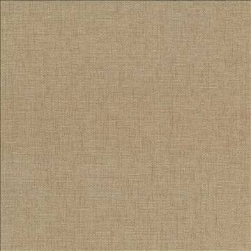 Pinnacle Tweed by Kasmir Fabric 1353 100% Polyester INDIA 102,000 Wyzenbeek Double Rubs H: N/A, V: N/A 54 - 55 - Fabric Carolina - Kasmir