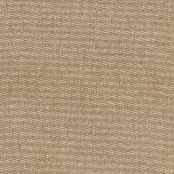 Pinnacle Tweed  by Kasmir Fabric See sample 100% Polyester
 INDIA 102,000 Wyzenbeek Double Rubs </p><p>Repeat: Horizontal: N/A and Vertical: N/A 54  - Fabric Carolina -