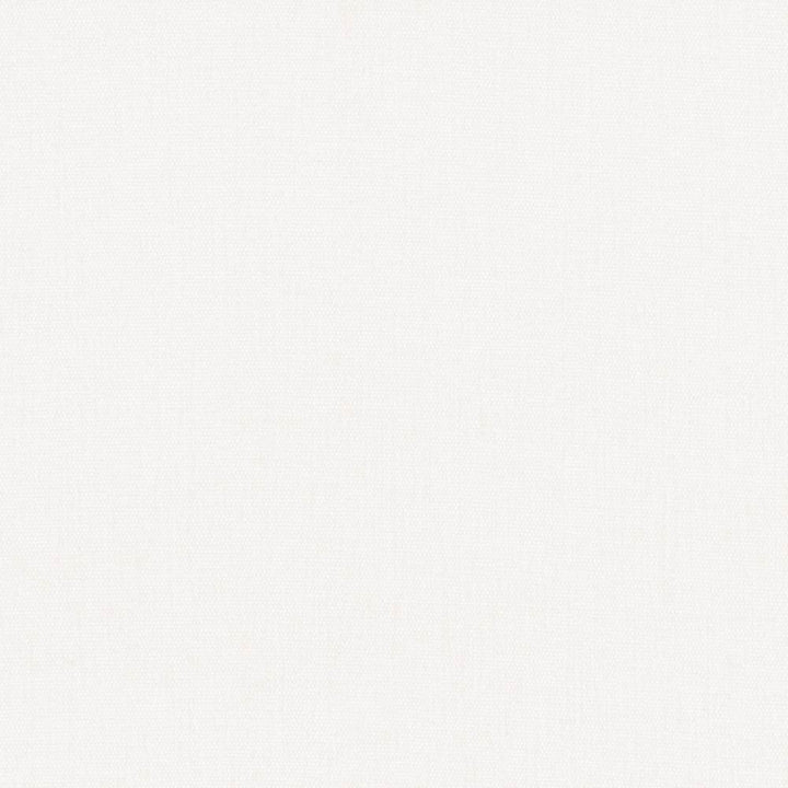 Pinnacle White by Kasmir Fabric 5046 100% Polyester
 INDIA </p><p>Repeat: Horizontal: N/A and Vertical: N/A 54 - 55 - Fabric Carolina -