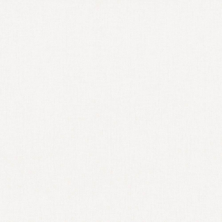 Pinnacle White by Kasmir Fabric 5046 100% Polyester
 INDIA 102,000 Wyzenbeek Double Rubs </p><p>Repeat: Horizontal: N/A and Vertical: N/A 54 - Fabric Carolina -