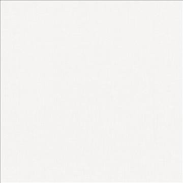 Pinnacle White by Kasmir Fabric 5046 100% Polyester INDIA 102,000 Wyzenbeek Double Rubs H: N/A, V: N/A 54 - 55 - Fabric Carolina - Kasmir