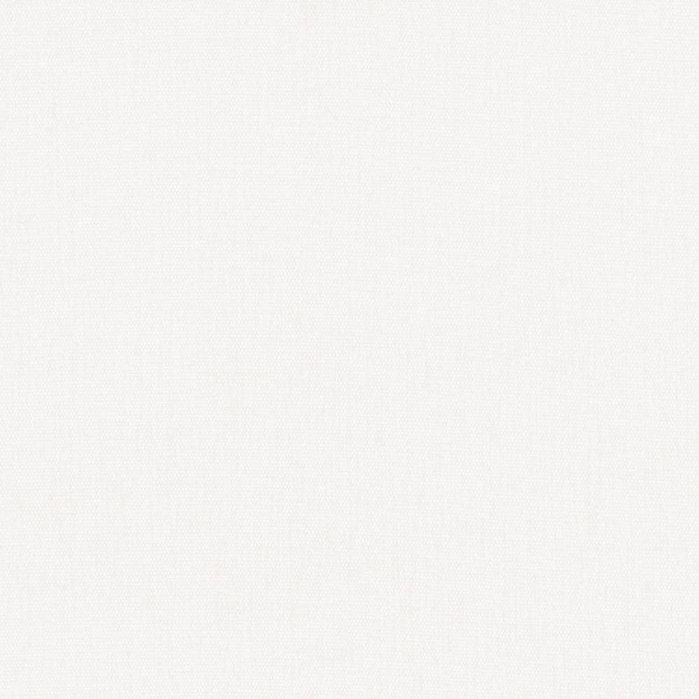 Pinnacle White by Kasmir Fabric 5046 INDIA 102,000 Wyzenbeek Double Rubs H: N/A, V:N/A 54 - 55 - Fabric Carolina - Kasmir
