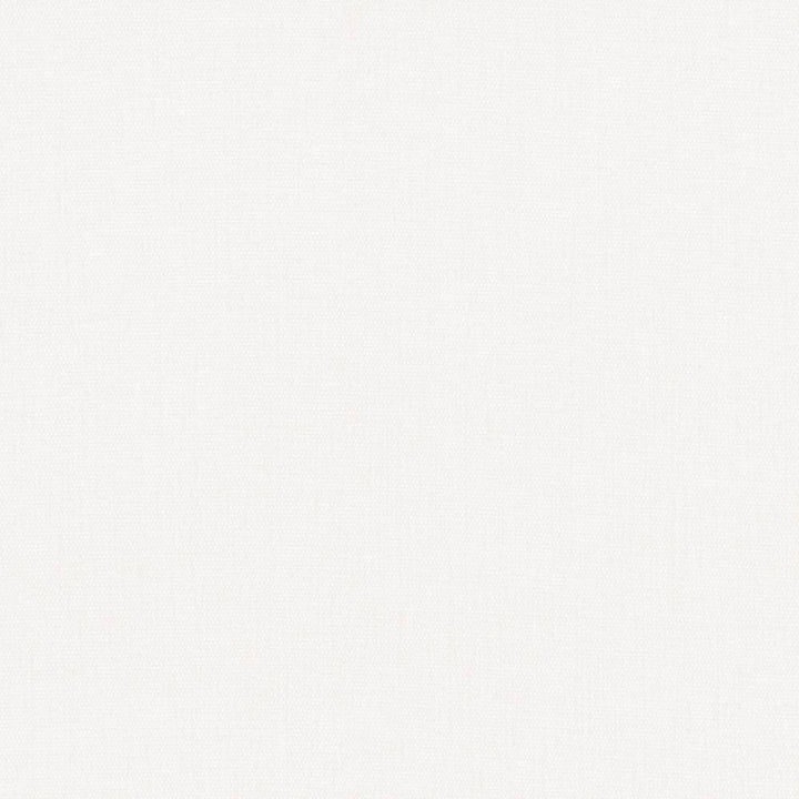 Pinnacle White by Kasmir Fabric 5046 INDIA 102,000 Wyzenbeek Double Rubs H: N/A, V:N/A 54 - 55 - Fabric Carolina - Kasmir