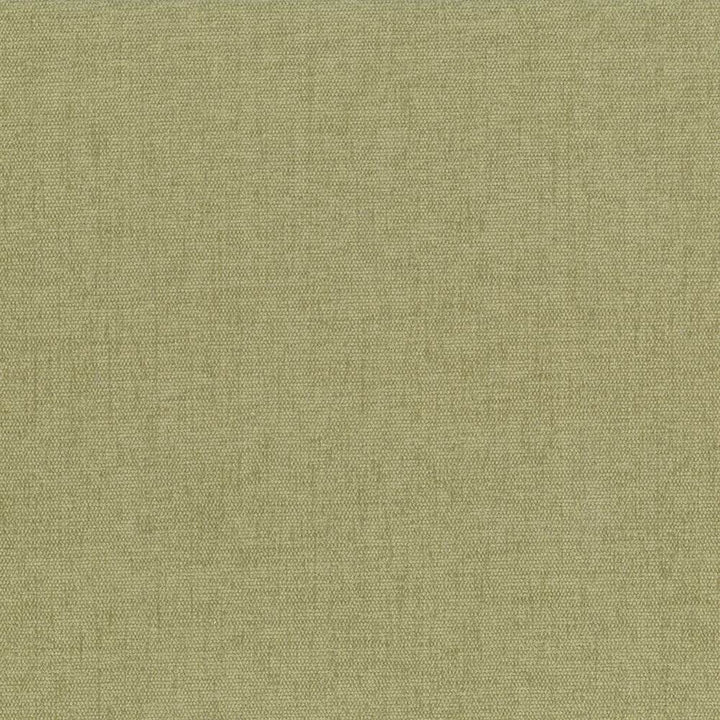 Pinnacle Willow by Kasmir Fabric 1353 100% Polyester
 INDIA </p><p>Repeat: Horizontal: N/A and Vertical: N/A 54 - 55 - Fabric Carolina -