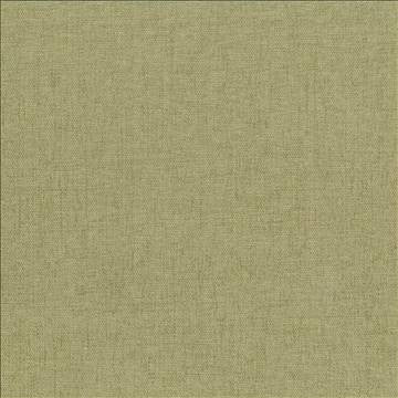 Pinnacle Willow by Kasmir Fabric 5046 100% Polyester INDIA 102,000 Wyzenbeek Double Rubs H: N/A, V: N/A 54 - 55 - Fabric Carolina - Kasmir