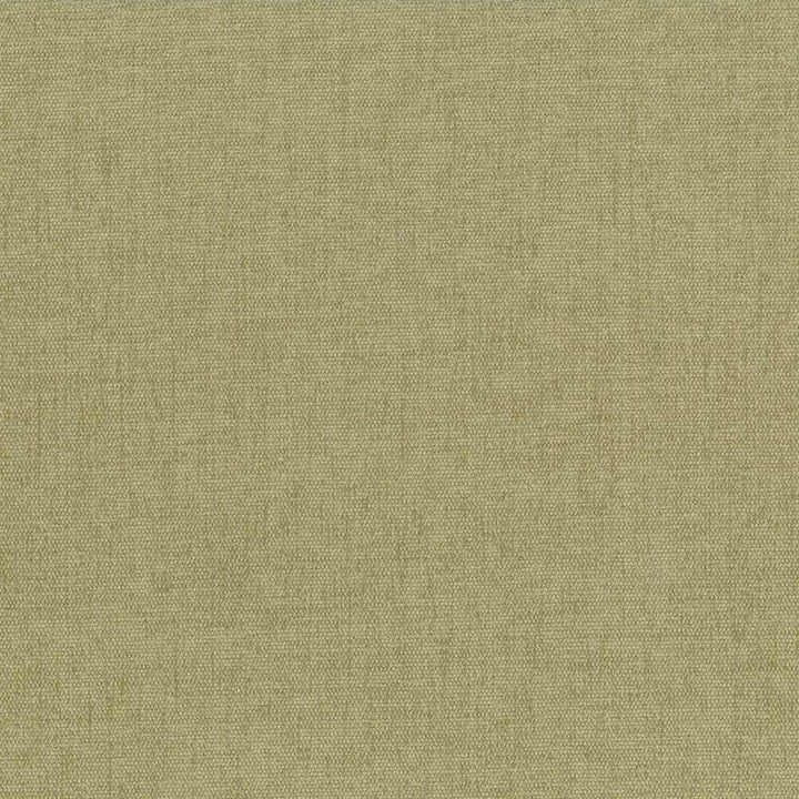 Pinnacle Willow by Kasmir Fabric 5046 INDIA 102,000 Wyzenbeek Double Rubs H: N/A, V:N/A 54 - 55 - Fabric Carolina - Kasmir