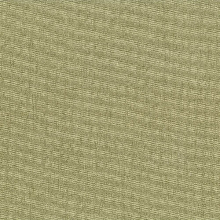 Pinnacle Willow by Kasmir Fabric 1353 100% Polyester
 INDIA </p><p>Repeat: Horizontal: N/A and Vertical: N/A 54 - 55 - Fabric Carolina -
