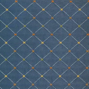 Pinpoint Blueberry by Kasmir Fabric