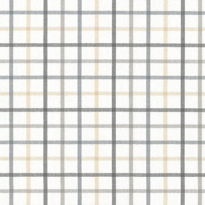 Piper Check Smoke by Kasmir Fabric 5066 PORTUGAL 51,000 Wyzenbeek Double Rubs H: 3 4/8 inches, V:3 2/8 inches 56 - Fabric Carolina - Kasmir