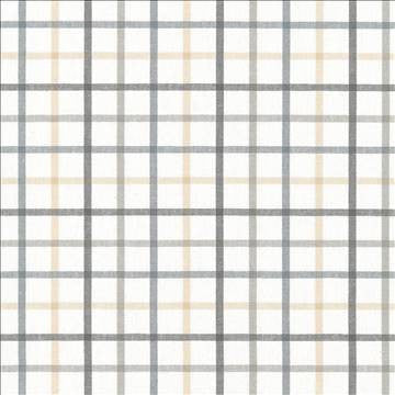 Piper Check Smoke by Kasmir Fabric 5066 100% Cotton PORTUGAL 51,000 Wyzenbeek Double Rubs H: 3 4/8 inches, V: 3 2/8 inches 56 - Fabric Carolina - Kasmir