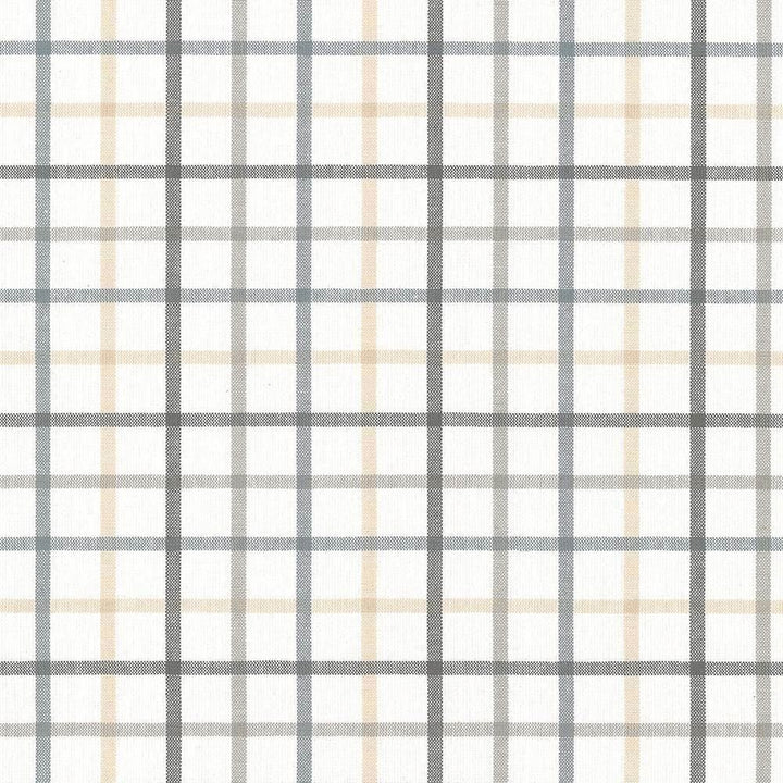 Piper Check Smoke by Kasmir Fabric 5066 100% Cotton
 PORTUGAL 51,000 Wyzenbeek Double Rubs Horizontal: 3 4/8 inches and Vertical: 3 2/8 inches 56 - Fabric Carolina -