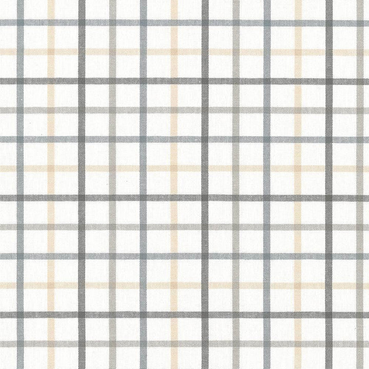 Piper Check Smoke by Kasmir Fabric 5066 100% Cotton
 PORTUGAL </p><p>Repeat: Horizontal: 3 4/8 inches and Vertical: 3 2/8 inches 56 - Fabric Carolina -