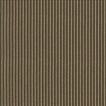 Pique Stripe Autumn by Kasmir Fabric 1416 100% Cotton CHINA 51,000 Wyzenbeek Double Rubs H: 1 4/8 inches, V: N/A 56 - 57 - Fabric Carolina - Kasmir