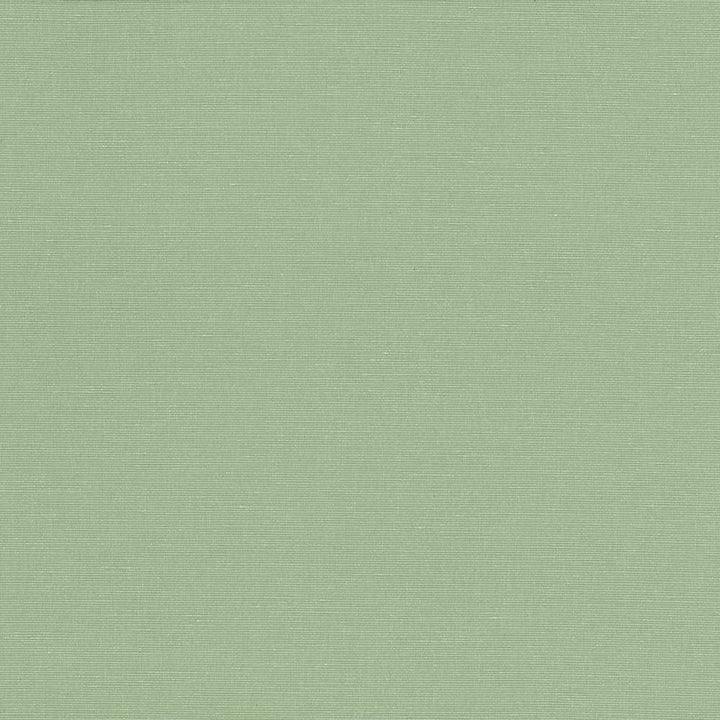 Pirouette Aqua by Kasmir Fabric 5054 INDIA 45,000 Wyzenbeek Double Rubs H: N/A, V:N/A 54 - 55 - Fabric Carolina - Kasmir