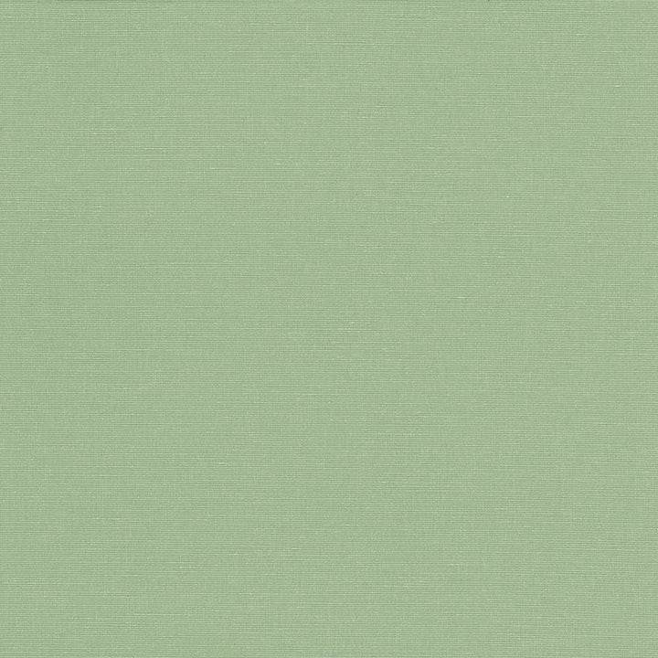 Pirouette Aqua by Kasmir Fabric 5054 100% Polyester
 INDIA </p><p>Repeat: Horizontal: N/A and Vertical: N/A 54 - 55 - Fabric Carolina -