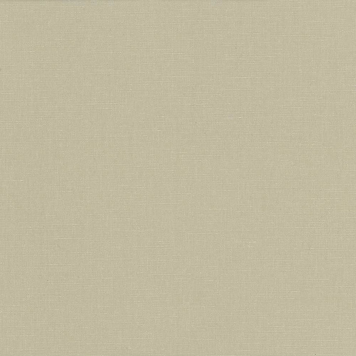 Pirouette Beige by Kasmir Fabric 5054 100% Polyester
 INDIA </p><p>Repeat: Horizontal: N/A and Vertical: N/A 54 - 55 - Fabric Carolina -