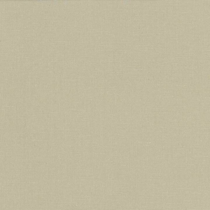 Pirouette Beige by Kasmir Fabric 5054 100% Polyester
 INDIA </p><p>Repeat: Horizontal: N/A and Vertical: N/A 54 - 55 - Fabric Carolina -