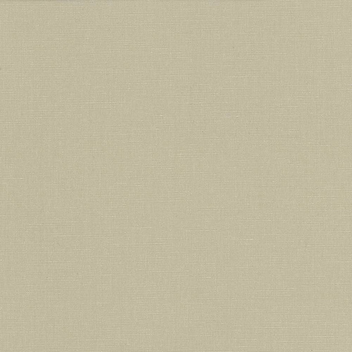 Pirouette Beige by Kasmir Fabric 5054 INDIA 45,000 Wyzenbeek Double Rubs H: N/A, V:N/A 54 - 55 - Fabric Carolina - Kasmir