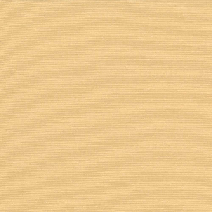 Pirouette Butter by Kasmir Fabric 5054 100% Polyester
 INDIA </p><p>Repeat: Horizontal: N/A and Vertical: N/A 54 - 55 - Fabric Carolina -
