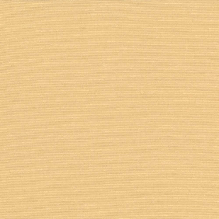 Pirouette Butter by Kasmir Fabric 5054 100% Polyester
 INDIA </p><p>Repeat: Horizontal: N/A and Vertical: N/A 54 - 55 - Fabric Carolina -