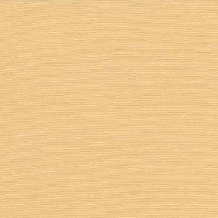 Pirouette Butter by Kasmir Fabric 5054 INDIA 45,000 Wyzenbeek Double Rubs H: N/A, V:N/A 54 - 55 - Fabric Carolina - Kasmir