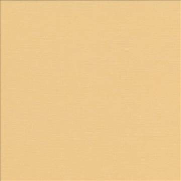 Pirouette Butter by Kasmir Fabric 5054 100% Polyester INDIA 45,000 Wyzenbeek Double Rubs H: N/A, V: N/A 54 - 55 - Fabric Carolina - Kasmir