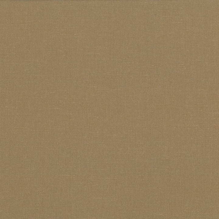 Pirouette Cafe by Kasmir Fabric 5054 100% Polyester
 INDIA </p><p>Repeat: Horizontal: N/A and Vertical: N/A 54 - 55 - Fabric Carolina -