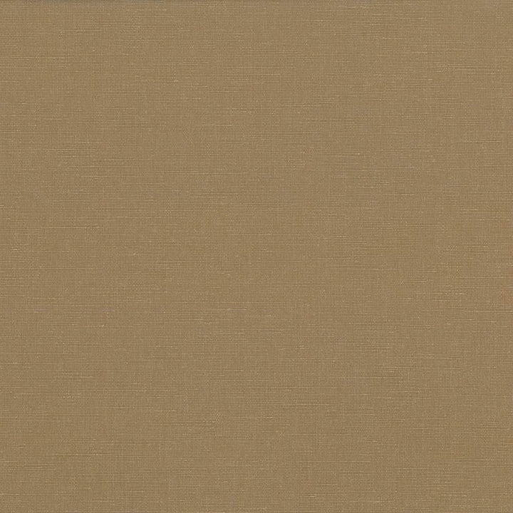 Pirouette Cafe by Kasmir Fabric 5054 INDIA 45,000 Wyzenbeek Double Rubs H: N/A, V:N/A 54 - 55 - Fabric Carolina - Kasmir