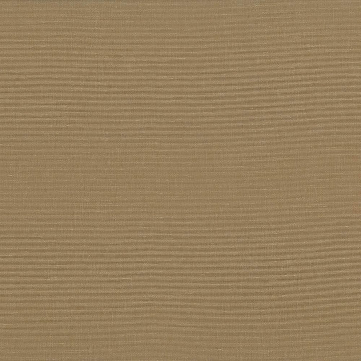 Pirouette Cafe  by Kasmir Fabric See sample 100% Polyester
 INDIA 45,000 Wyzenbeek Double Rubs </p><p>Repeat: Horizontal: N/A and Vertical: N/A 54  - Fabric Carolina -