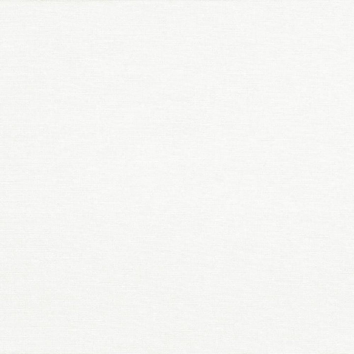 Pirouette Canvas by Kasmir Fabric 5054 INDIA 45,000 Wyzenbeek Double Rubs H: N/A, V:N/A 54 - 55 - Fabric Carolina - Kasmir