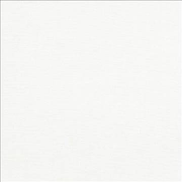 Pirouette Canvas by Kasmir Fabric 5054 100% Polyester INDIA 45,000 Wyzenbeek Double Rubs H: N/A, V: N/A 54 - 55 - Fabric Carolina - Kasmir
